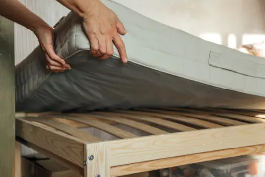 bed bug treatment preparation Brampton