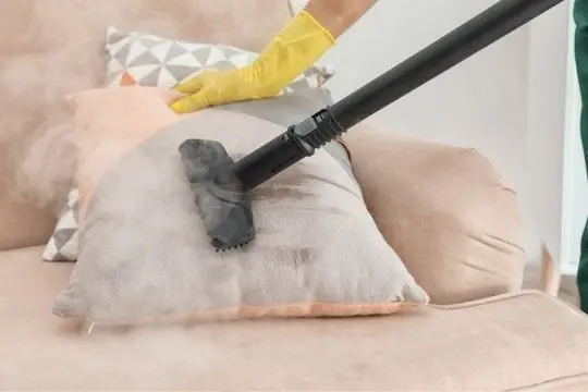 steam treatment to remove bed bugs
