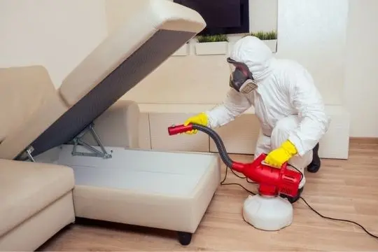 bed bug extermination oshawa